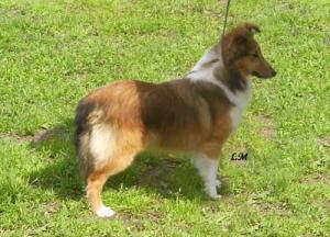 Yes ze Souhvězdí Orionu