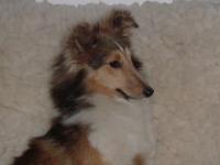 Yes ze Souhvězdí Orionu