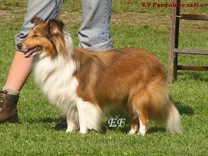 YESSABELL z Černé hlásky