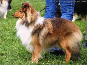 ZAG z Vesničky u hranic