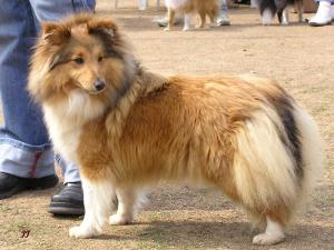 ZITA ze Souhvězdí Orionu