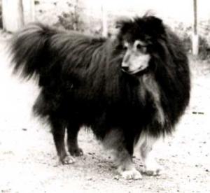 ZORO z Černínské tvrze CS