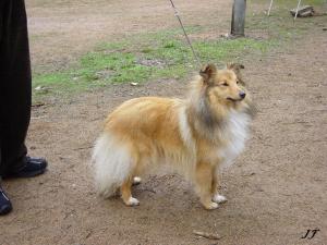 Zuzi z Vesničky u hranic