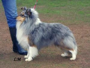 Žaki z Vesničky u hranic