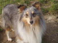 Žaki z Vesničky u hranic