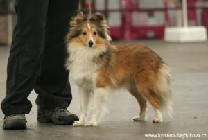 Bodie ze Stehelčevského statku