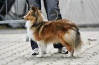 Bodie ze Stehelčevského statku