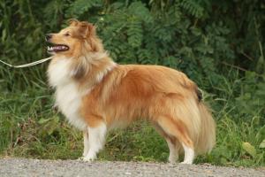 Argo z Barbořinského vršku