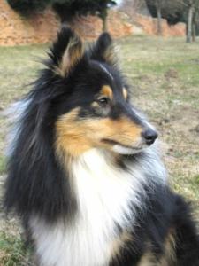 Nugát z Ďáblovy studánky