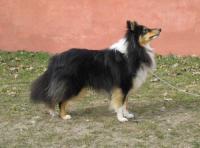 Nugát z Ďáblovy studánky