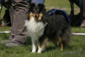 Nugetka z Ďáblovy studánky