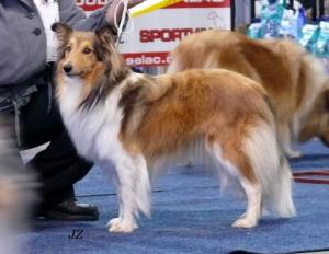 Cruela z Otvovické skály