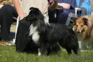 Knight of the Night Chancy Remus