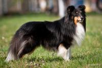 Big Biaggi z Bučávky