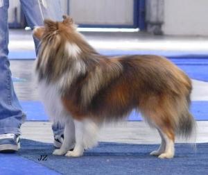 Ajsíkjů Leader von Schnappi Schnapp