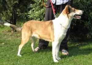 A Ta Trinity z Mošnova