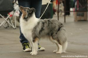 Felisha z Otvovické skály