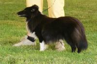 DALENKA Malý pasáček