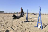 DRNDA Malý pasáček