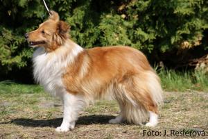 Keep In Mind Fort Fox