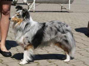 CANDY GIRL Bonny Dux