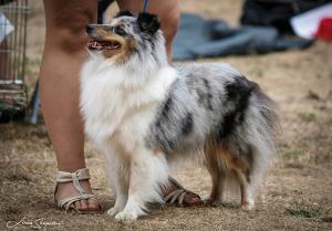 Ebby Blue z Otvovické skály