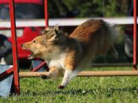 IRISH COFFEE Perla z Polabí