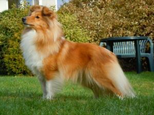 Klassic Beauty ze Skalní vyhlídky