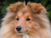 Klassic Beauty ze Skalní vyhlídky