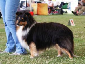 Lucky Puff ze Skalní vyhlídky