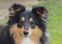 Lucky Puff ze Skalní vyhlídky