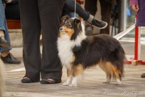 Uršula z Karlova hrádku