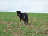 Sněhurka z Karlova hrádku