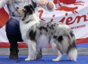 Kraemer's Yatzy Yasmine