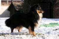 JAMESON Perla z Polabí