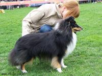 JIM BEAM Perla z Polabí