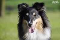 JUST FLAME Perla z Polabí