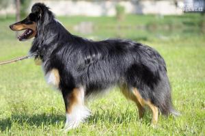 JUST JEWEL Perla z Polabí