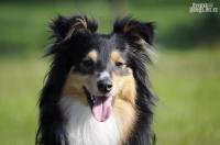 JUST JEWEL Perla z Polabí