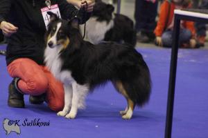 MIRAGE Perla z Polabí