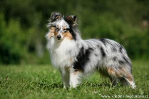 ONLY ONE Perla z Polabí