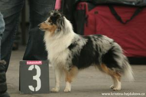 Caresse Modrá odysea