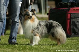 Kallistos Perla z Polabí