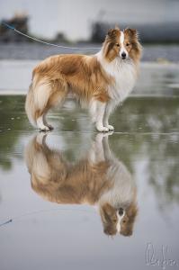 VERIN z Ďáblovy studánky