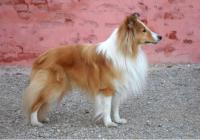 VERIN z Ďáblovy studánky