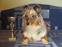 Dájenka Moravské srdce