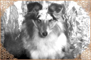 ESTER z Vesničky u hranic CS