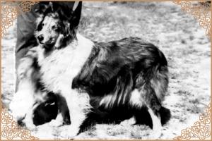 UTKA z Litoměřických strání CS