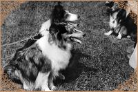 UTKA z Litoměřických strání CS