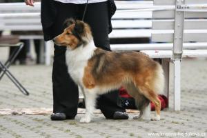 EBBY z Gröbovské vinice